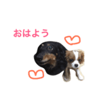 チョコたんぼ（個別スタンプ：7）