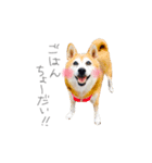 うちのこたちだけ02（個別スタンプ：10）