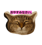 mipaupa（個別スタンプ：2）