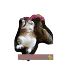 mipaupa（個別スタンプ：4）