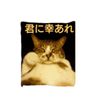 mipaupa（個別スタンプ：8）