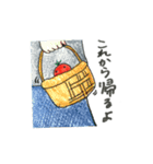 トマト シリーズ1（個別スタンプ：16）