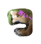 はぶたん（個別スタンプ：7）