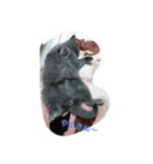 クウたろ〰️‼️（個別スタンプ：4）
