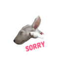 dog's emoji（個別スタンプ：2）