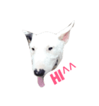 dog's emoji（個別スタンプ：3）