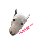 dog's emoji（個別スタンプ：6）