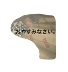 井戸端写真集（個別スタンプ：8）