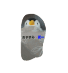 ペンギンペン太（個別スタンプ：2）