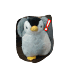 ペンギンペン太（個別スタンプ：3）