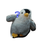 ペンギンペン太（個別スタンプ：4）
