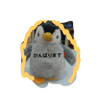 ペンギンペン太（個別スタンプ：7）