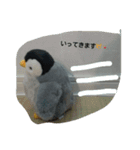 ペンギンペン太（個別スタンプ：9）