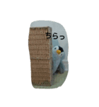 ペンギンペン太（個別スタンプ：10）
