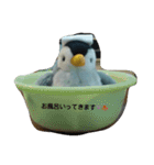 ペンギンペン太（個別スタンプ：12）