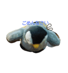 ペンギンペン太（個別スタンプ：14）