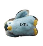 ペンギンペン太（個別スタンプ：15）