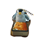 ペンギンペン太（個別スタンプ：16）