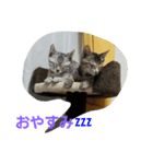 つっきー＆シルバー＆チャミ（個別スタンプ：4）