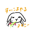 えぶりでぃうさぎ（個別スタンプ：6）