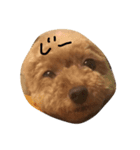 mintooo（個別スタンプ：3）