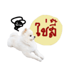 Power - Cute dog（個別スタンプ：10）