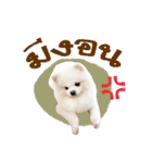 Power - Cute dog（個別スタンプ：18）