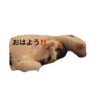 まーこの徒然なる姫ライフ4（個別スタンプ：1）