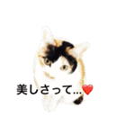 まーこの徒然なる姫ライフ4（個別スタンプ：8）