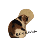 まーこの徒然なる姫ライフ4（個別スタンプ：20）