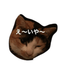まーこの徒然なる姫ライフ4（個別スタンプ：24）