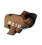 まーこの徒然なる姫ライフ4（個別スタンプ：27）