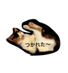 まーこの徒然なる姫ライフ4（個別スタンプ：30）