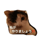 まーこの徒然なる姫ライフ4（個別スタンプ：35）