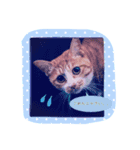 Cute and fashionable cats stamp（個別スタンプ：2）