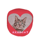 Cute and fashionable cats stamp（個別スタンプ：3）