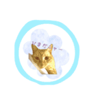 Cute and fashionable cats stamp（個別スタンプ：5）