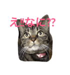 きょろ！（個別スタンプ：2）