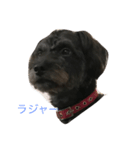 おとぼけチョコくん2（個別スタンプ：4）