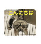 にゃん子の気持ち（個別スタンプ：3）