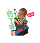 Smile baby life（個別スタンプ：31）