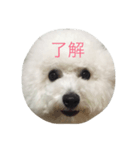 ポンdeビション お返事編（個別スタンプ：3）