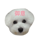 ポンdeビション お返事編（個別スタンプ：4）