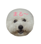 ポンdeビション お返事編（個別スタンプ：7）