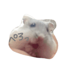 hamster sugar（個別スタンプ：3）