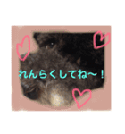 オレオくん2（個別スタンプ：11）