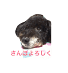 オレオくん2（個別スタンプ：12）