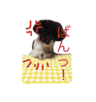 オレオくん2（個別スタンプ：15）