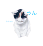 三毛猫のメイちゃん（個別スタンプ：4）