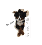 オリバーとパンの日常です（個別スタンプ：7）
